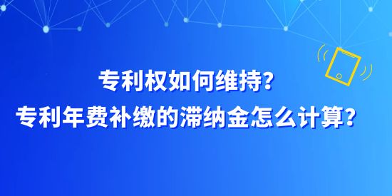 專利權如何維持？專利年費補繳的滯納金怎么計算？