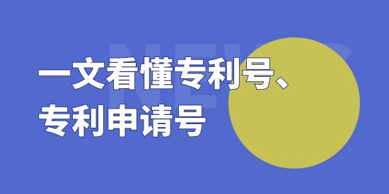 專利申請號可以查到專利號嗎？一文看懂專利號、專利申請號